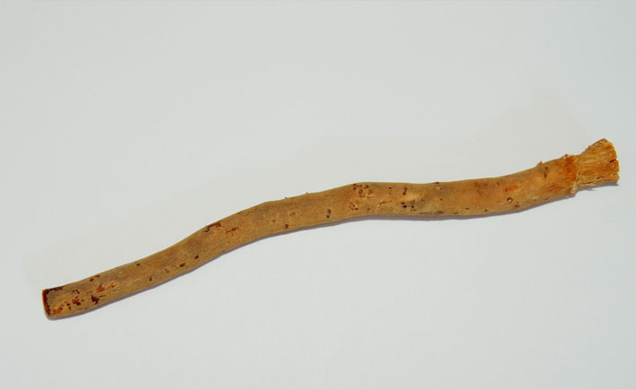 optimized-muslim-inventions-siwak.jpg