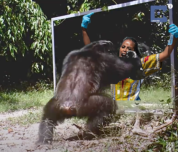 originalblm.png