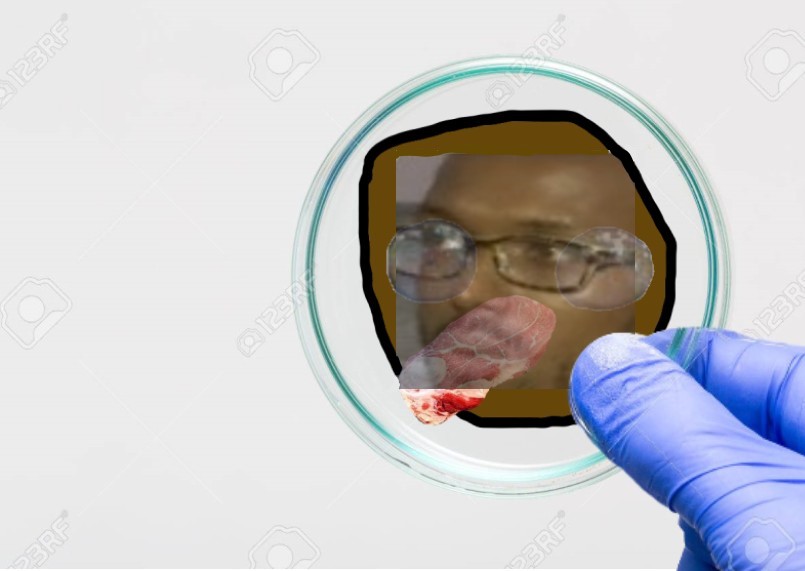petridish2.jpg