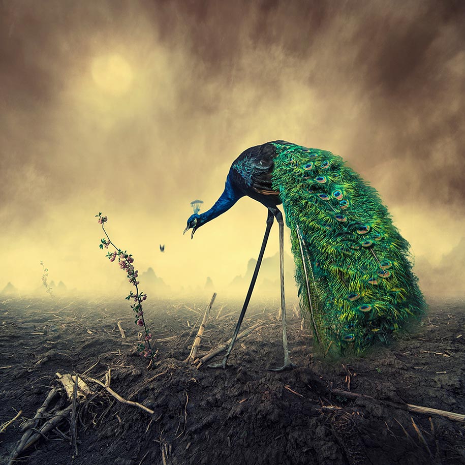 photography_photo_manipulations_by_caras_ionut_03.jpg