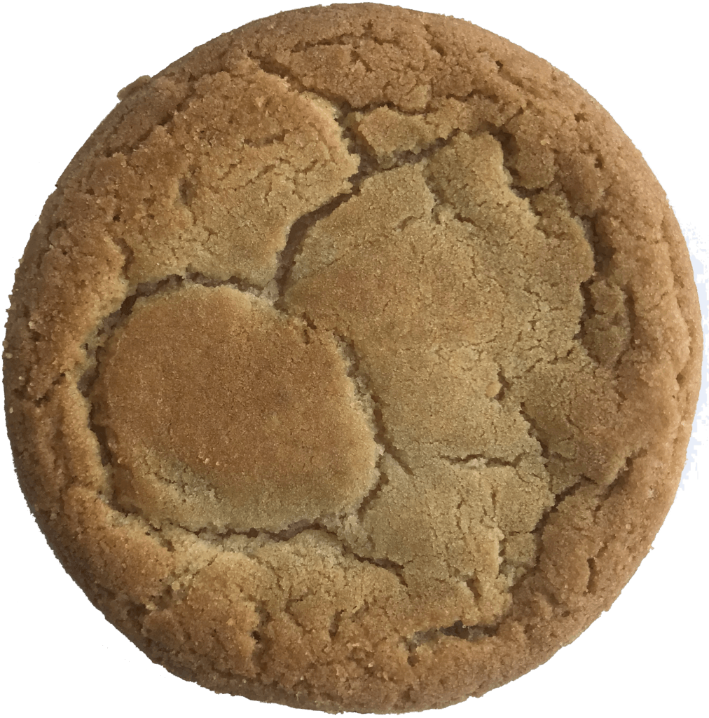 plain-cookie-cut-out-copy-1012x1024-1.png