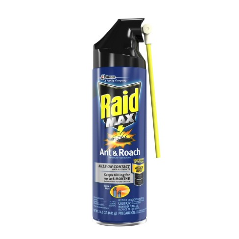 raid.jpeg