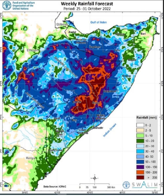 Rainfall 25-Oct.jpg