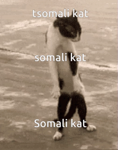 received_339827394759316.gif