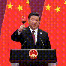 Redphoenix_20231206_1.gif