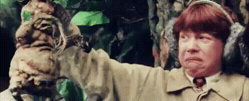 Redphoenix_20240203_1.gif