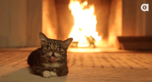 rs_500x270-140808102736-tumblr_my2hi3c3em1ruw1vso1_500.gif