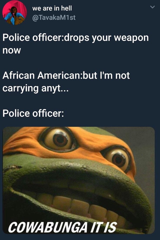 s2hibd8nmta21.jpg