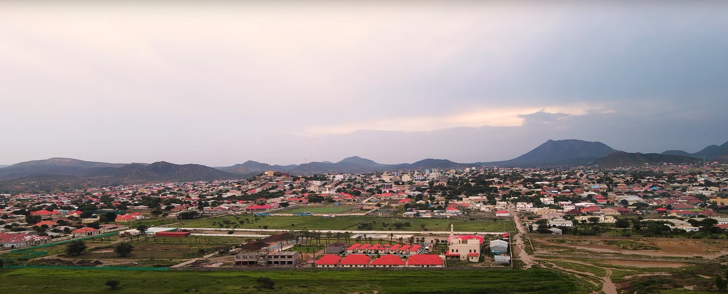 safari borama.jpg