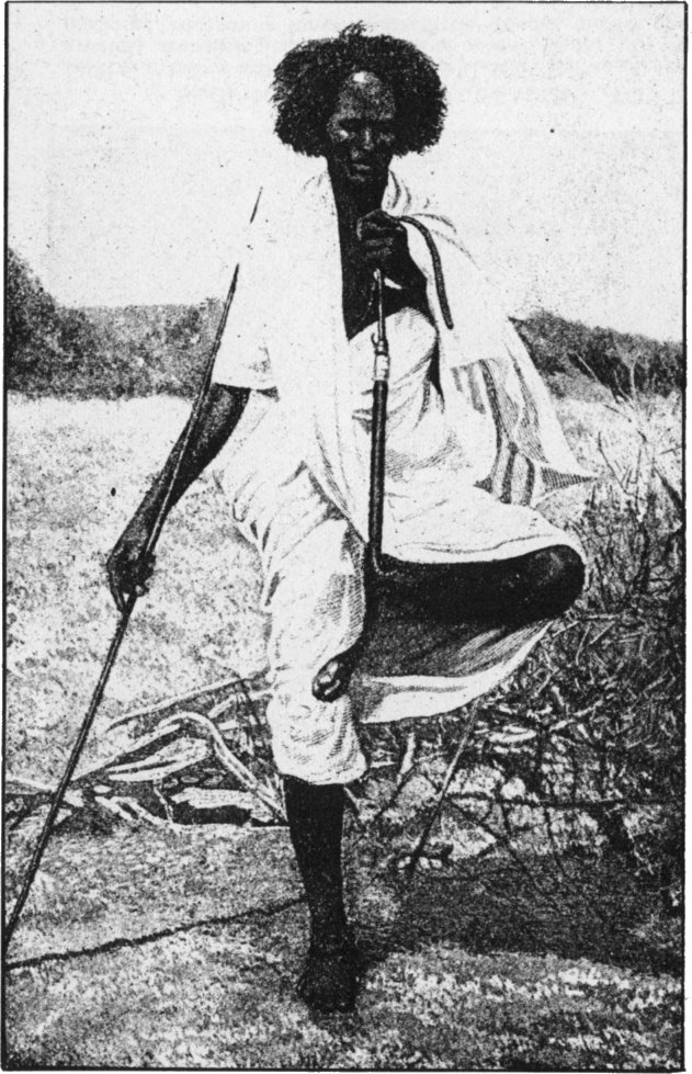 sawir.jpg