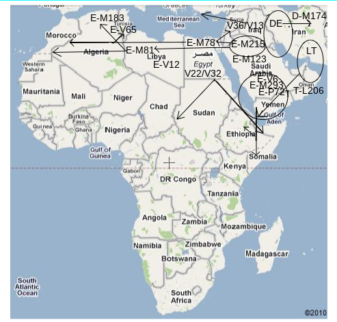 Screenshot (18).png