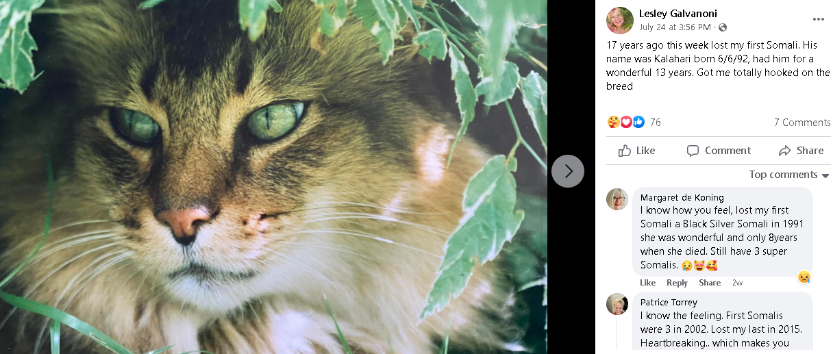 Screenshot (227).png