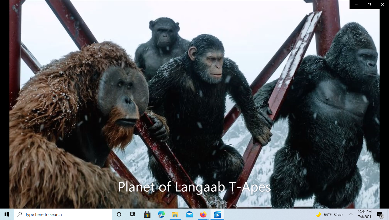 Screenshot (8).png