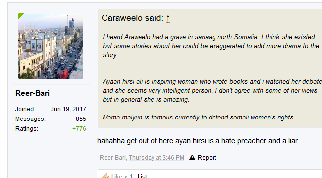 Screenshot_2019-03-02 Somalispot historians was Araweelo real .png