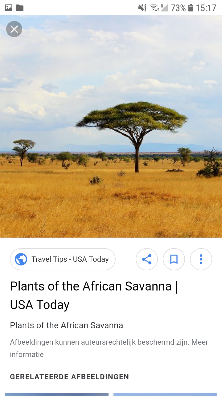 Screenshot_20190306-151735_Chrome.jpg