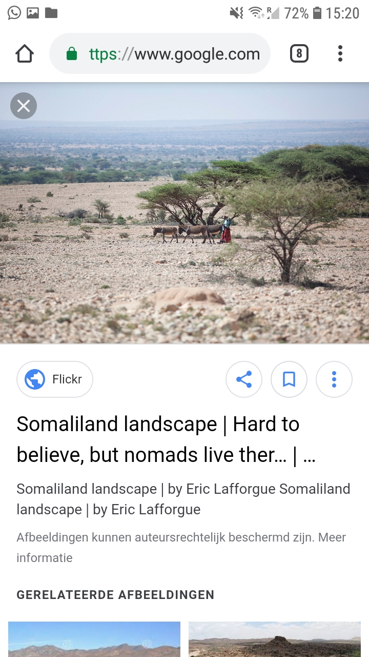 Screenshot_20190306-152049_Chrome.jpg