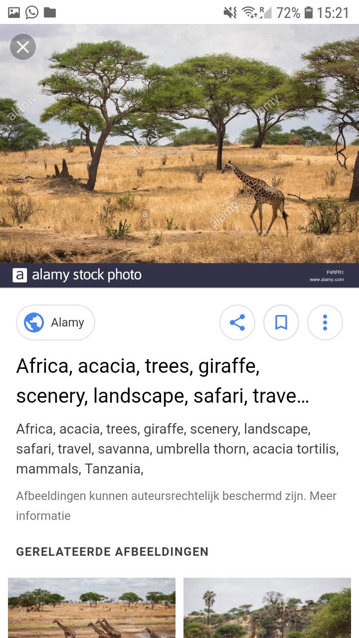 Screenshot_20190306-152146_Chrome.jpg