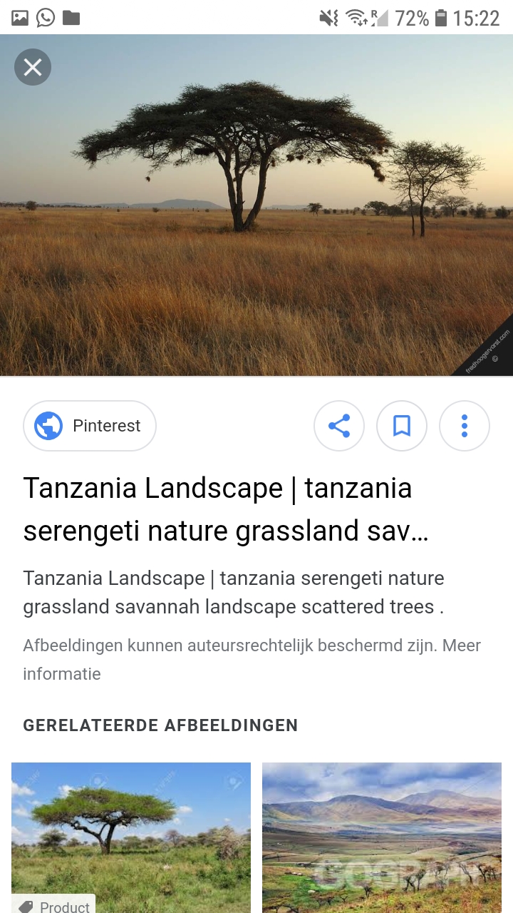 Screenshot_20190306-152207_Chrome.jpg