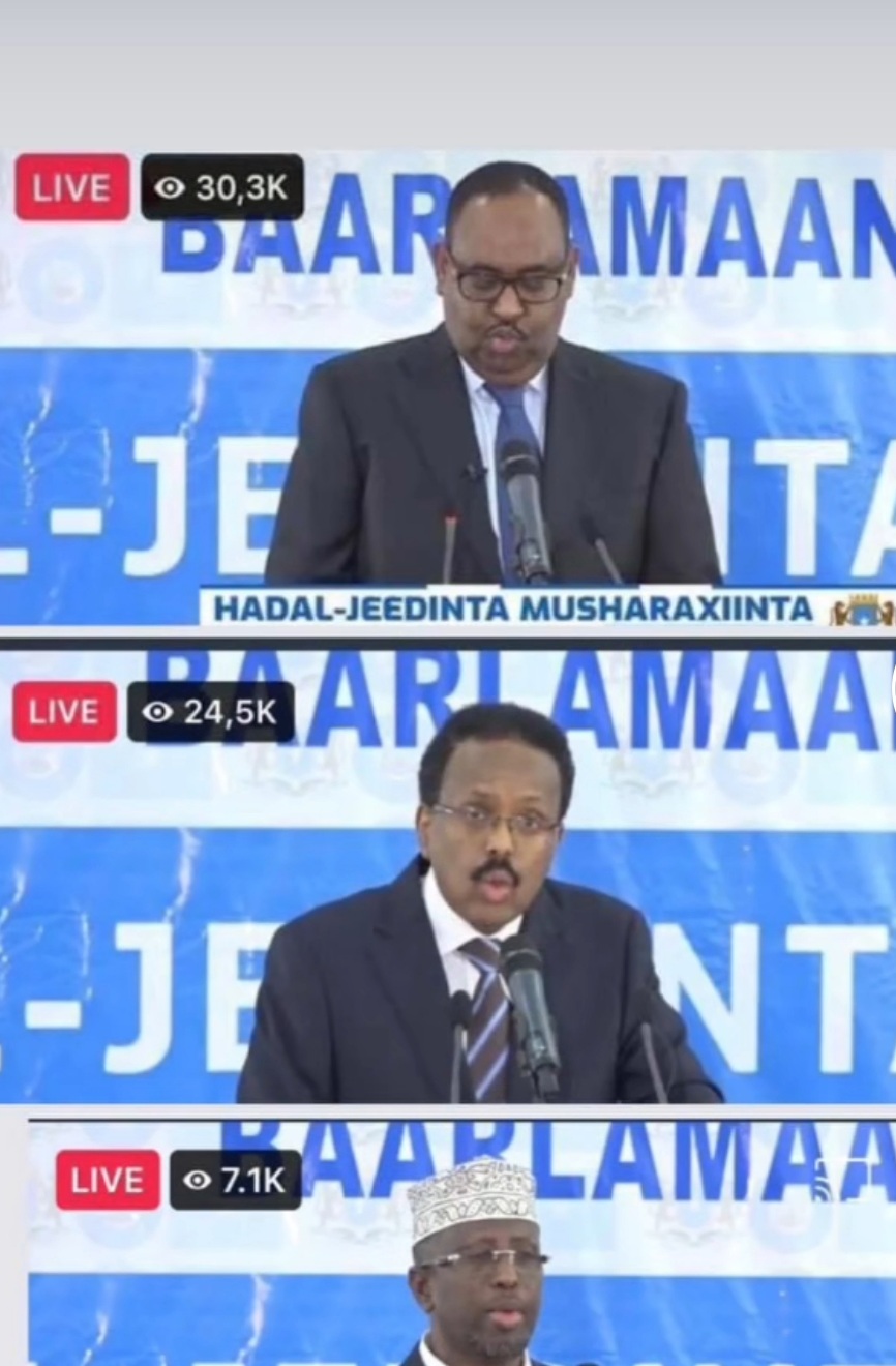 Screenshot_20220514-231338_TikTok.jpg