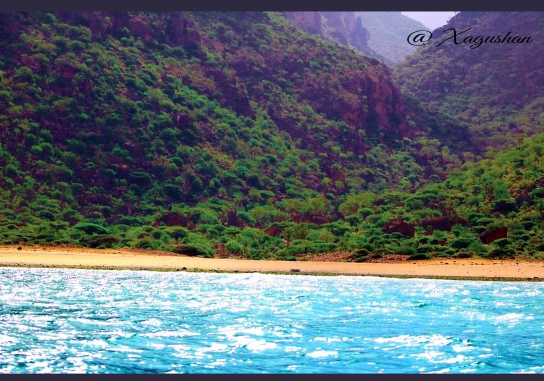 Screenshot_20220527-040051_Twitter.jpg
