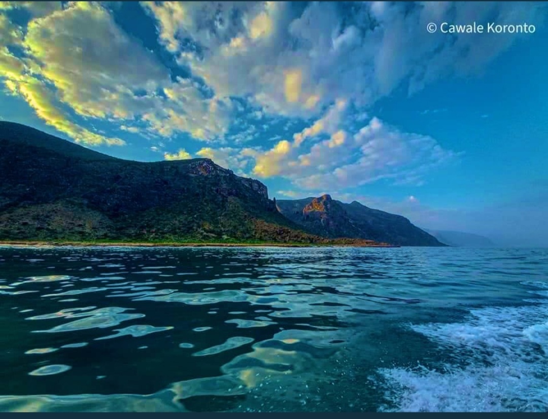 Screenshot_20220627-184235_Twitter.jpg
