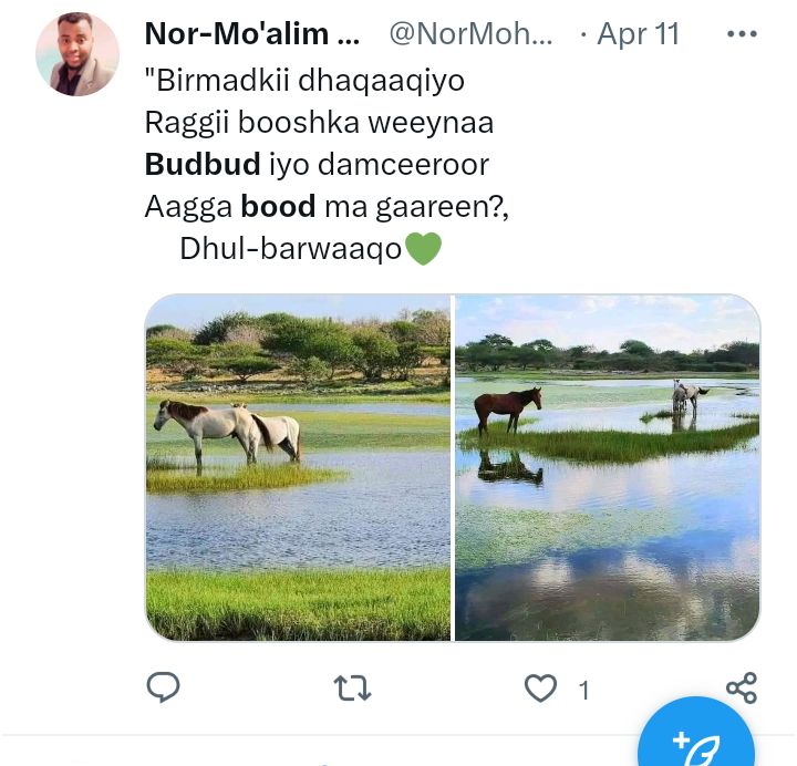Screenshot_20230704-021257.jpg