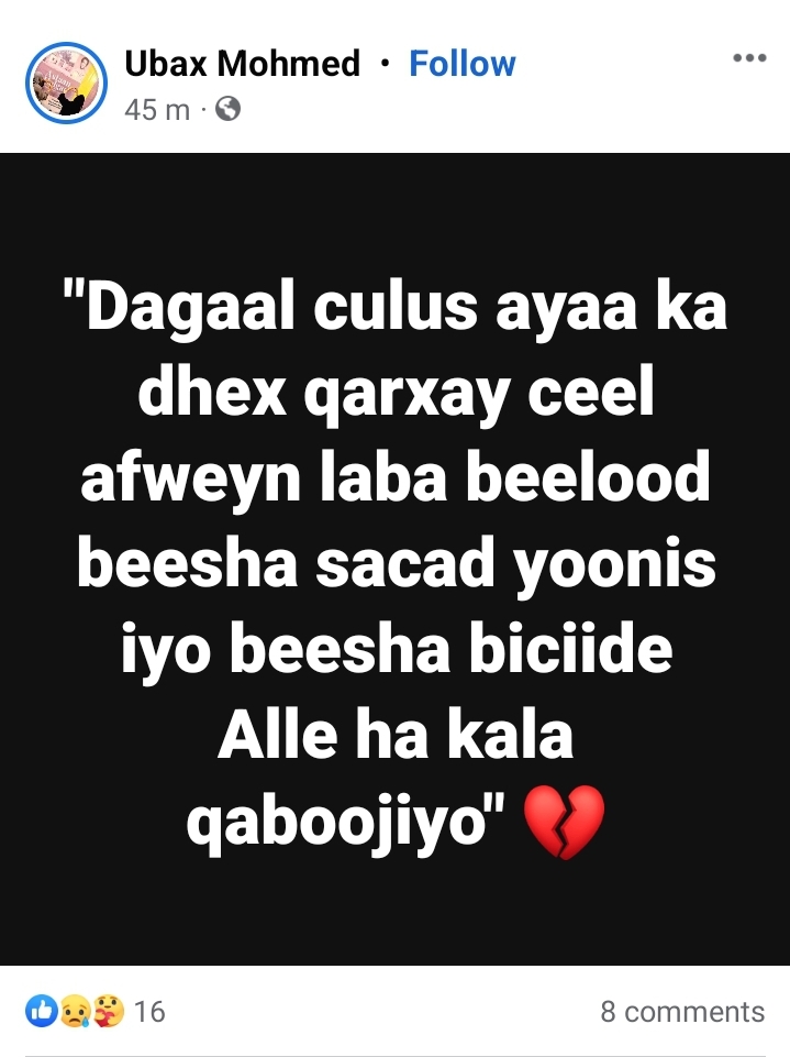 Screenshot_20230825_110739_Facebook.jpg