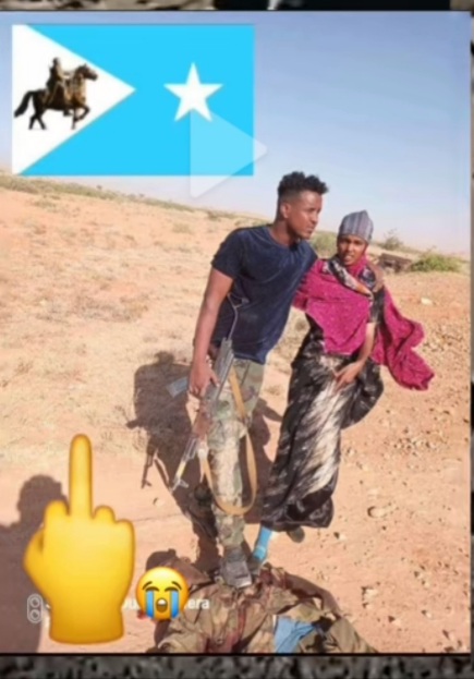 Screenshot_20230826-163747_TikTok.jpg