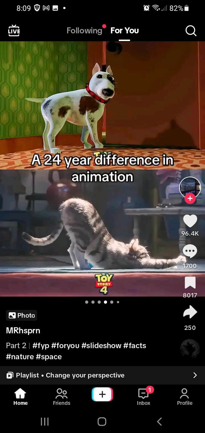 Screenshot_20231119-080903_TikTok.jpg