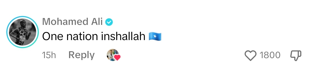 Screenshot_20231231-150833_TikTok.jpg