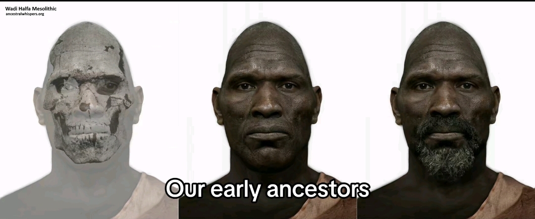 Screenshot_20240326_231148_TikTok.jpg