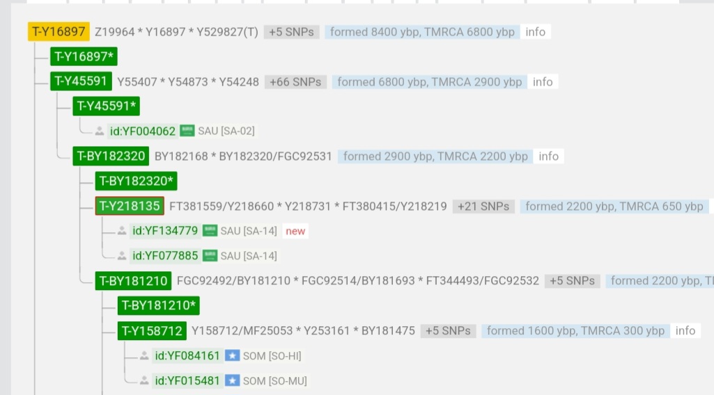 Screenshot_20250511_140701_Chrome.jpg