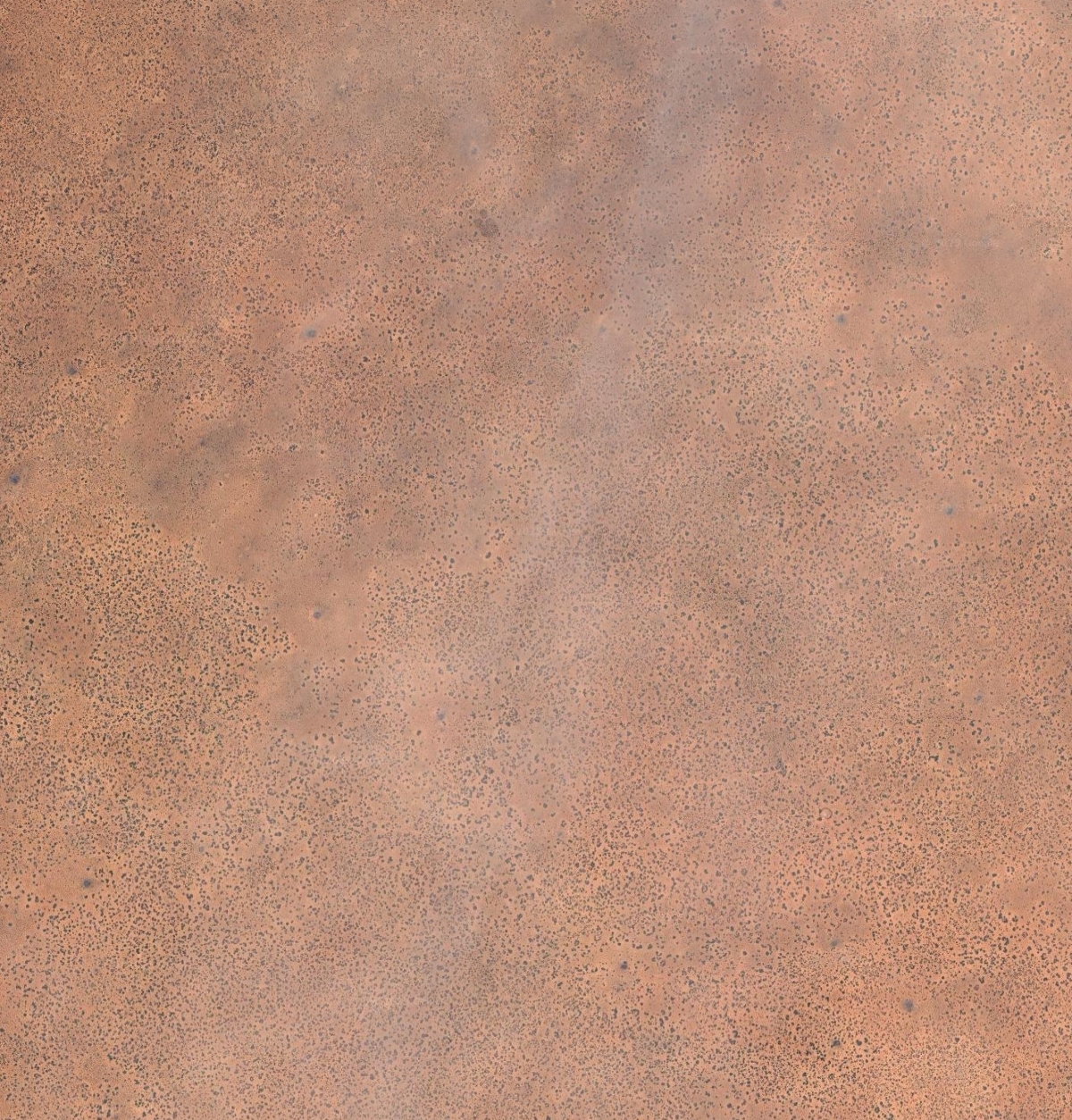 Screenshot_20250902_193652_Maps.jpg