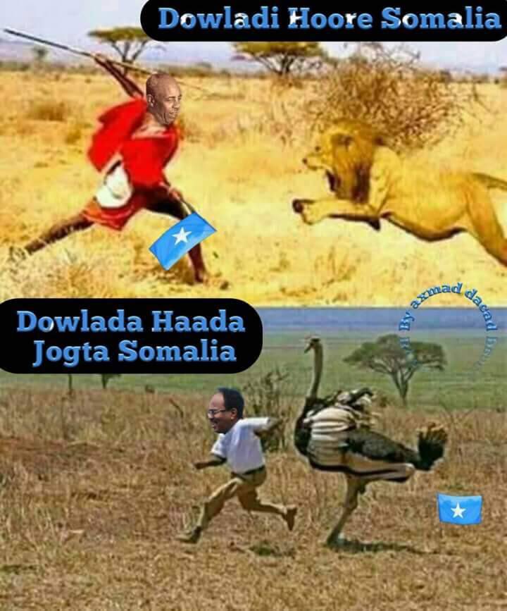 Siad vs Farmajo.jpg