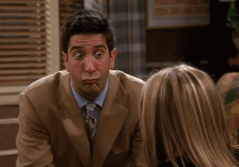 SimilarDiscreteJavalina-size_restricted.gif