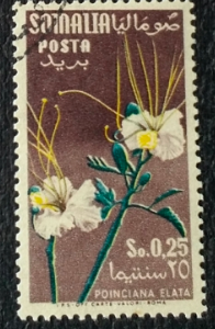 Skjermbilde 2020-11-01 kl. 16.37.17.png