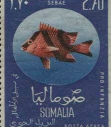 Skjermbilde 2020-11-01 kl. 19.07.32.png