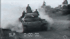 SmoothImportantFossa-max-1mb.gif