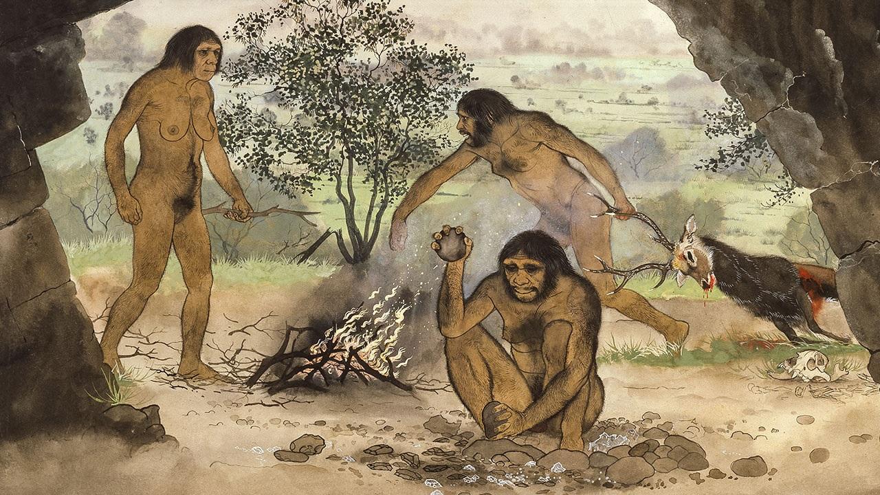sn-vegetarianism.jpg