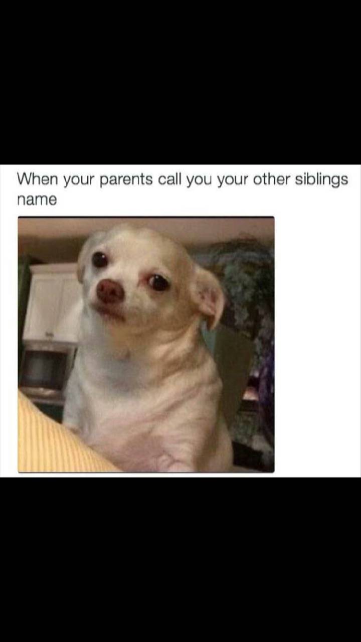 Snapchat-567680485.jpg