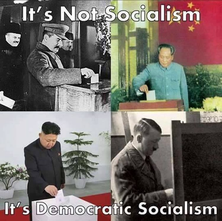 socialism-vote-750.jpg