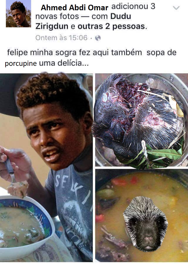 sopa_de_porcupine.jpg