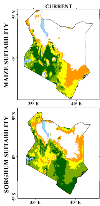 Sorghum & Maize Suitability Kenya - Copy.png