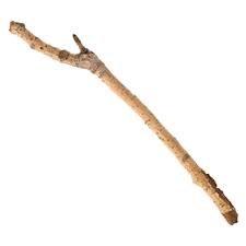 stick.jpg