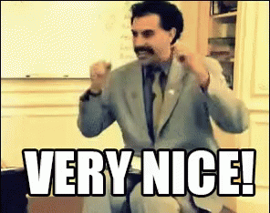 t6b2e98b6d3bf_borat-very-nice-gif.gif