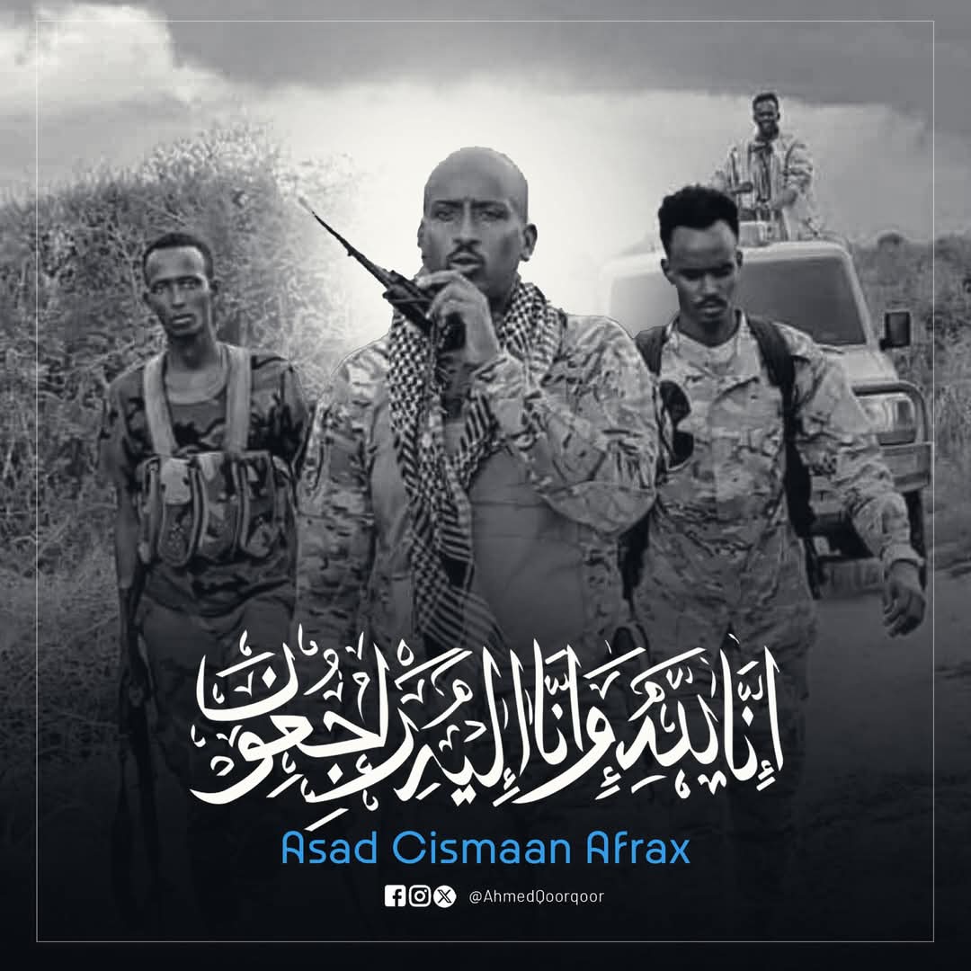 Taliye asad.jpg