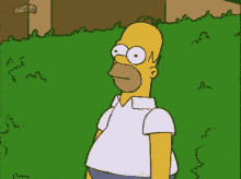 tenor-1,182.gif