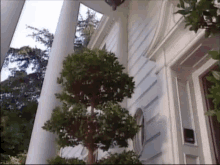 tenor-1,234.gif