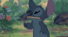 tenor-1,266.gif