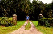 tenor-1.gif
